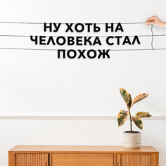 Гирлянда-растяжка Ну хоть на человека стал похож VN593 черная No Brand