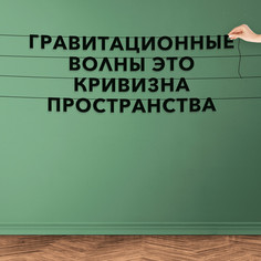 Гирлянда-растяжка Гравитационные волны это кривизна пространства VN033 черная No Brand