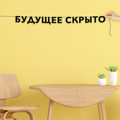 Гирлянда-растяжка Будущее скрыто VN641 черная No Brand
