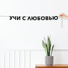 Гирлянда-растяжка Учи с любовью VN521 черная No Brand