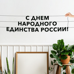 Гирлянда-растяжка С днем народного единства России VN957 черная No Brand