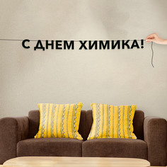 Гирлянда-растяжка С днем химика VN894 черная No Brand