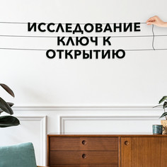 Гирлянда-растяжка Исследование ключ к открытию VN125 черная No Brand