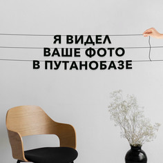 Гирлянда-растяжка Я видел ваше фото в путанобазе VN854 черная No Brand