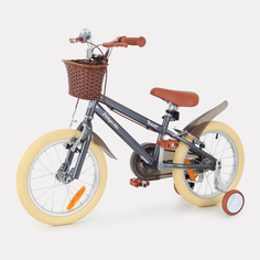 Велосипед двухколесный детский RANT Vintage серый РАНТ
