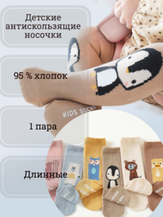Носки детские Kids socks Sks-1824b, коричневый, 16-18