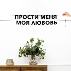 Гирлянда-растяжка Прости меня моя любовь VN763 черная No Brand