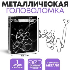 Головоломка «Раздели на части» №49 No Brand