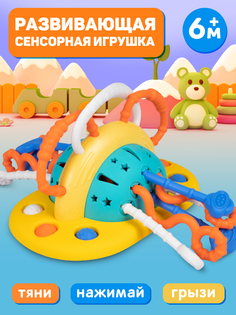 Развивающая сенсорная игрушка Smart Baby Космос на присоске тяни нажимай грызи
