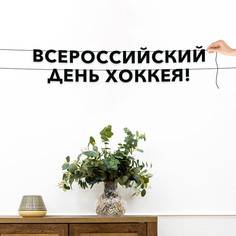 Гирлянда-растяжка Всероссийский день хоккея VN966 черная No Brand