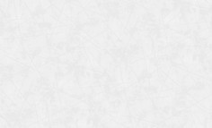 Флизелиновые обои Erismann 10,05х1,06, 60623-01 Эрисманн