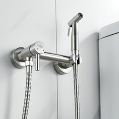 Смеситель с гигиеническим душем Raffine F207L из нержавеющей стали сатин