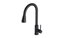 Смеситель для кухни ALVEUS PRIMROSE PS Carbon G91 NEW