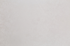 Обои виниловые Палитра Nancy PL71890-25