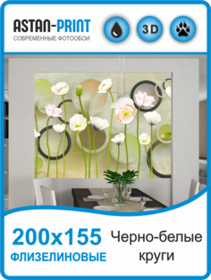 Фотообои флизелиновые Astan 3D Круги 300х270