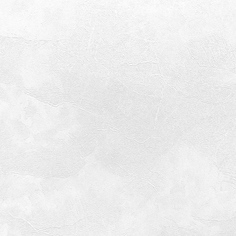 Обои Profi Deco Veter 60560-02 флизелиновые 1_06x10м Эрисманн