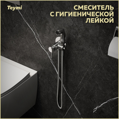 Смеситель с гигиенической лейкой Teymi Lina хром T10229