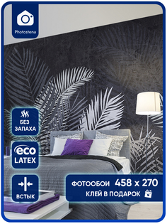 Фотообои Photostena Листья пальмы на темном фоне 4,58x2,7 м