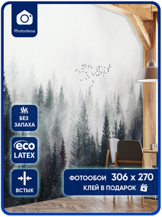 Фотообои Photostena Туманный лес 3,06x2,7 м