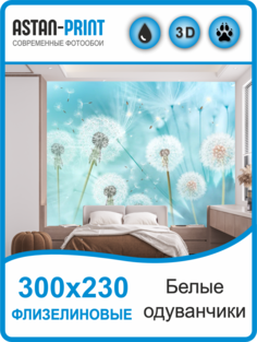 Флизелиновые фотообои Astan Белые одуванчики 300х230 белый голубой