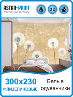 Флизелиновые фотообои Astan Белые одуванчики 300х230 бежевый белый