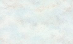 Обои виниловые Аспект Ева 70447-65