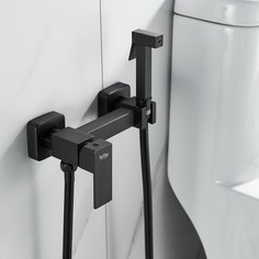 Смеситель с гигиеническим душем из нержавеющей стали RAFFINE F237H черный