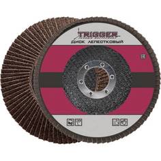 Диск лепестковый по металлу (115х22 мм; P100) для УШМ ТРИГГЕР 70354 тов-158864 Trigger