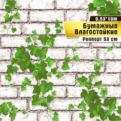 Бумажные обои "Лоза 02 Ф289" (0,53*10м )ар.С3