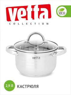 Кастрюля Vetta 2,9 л серебристый