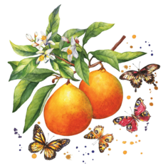 Салфетки Paper+Design Fruity Butterflies 3-слойные 33х33 см 20 шт