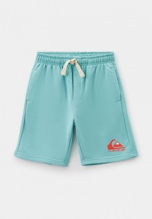 Шорты спортивные Quiksilver