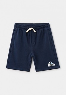 Шорты спортивные Quiksilver