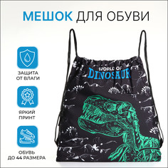 Мешок для обуви на шнурке, цвет черный/зеленый No Brand