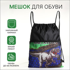 Мешок для обуви на шнурке, цвет черный No Brand