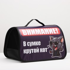 Сумка - переноска для животных каркасная, 40 х 25 х 25 см, синяя с котом No Brand