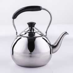 Чайник из нержавеющей стали orchid, 2 л, цвет серебряный No Brand