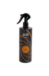 Спрей Gun для дома Pura Ambra (500ml) TEATRO