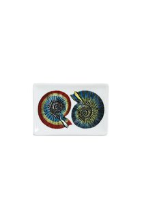 Мелочница Conchiglie Fornasetti