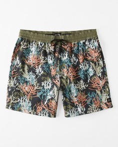 Мужские купальные шорты Coral Garden Layback 17" Billabong