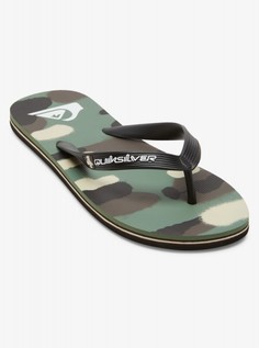 Мужские сланцы Molokai Art Quiksilver