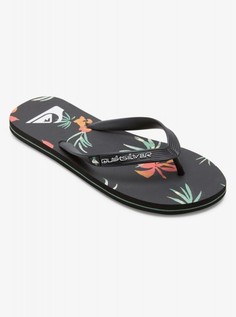 Мужские сланцы Molokai Art Quiksilver