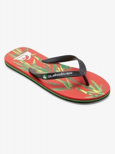 Мужские сланцы Molokai Art Quiksilver