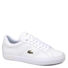 Кроссовки и кеды Lacoste