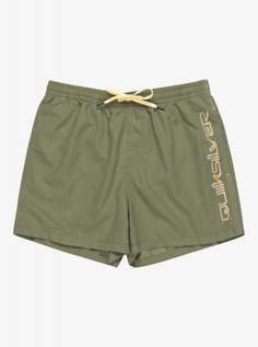 Мужские плавательные шорты Behind Waves 15" Quiksilver