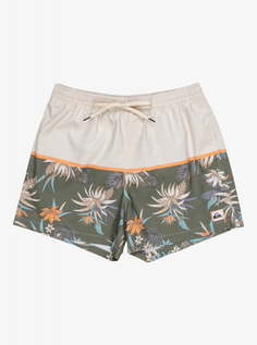Мужские плавательные шорты Life On The Reef 15" Quiksilver