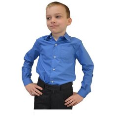 Школьная рубашка TUGI, размер 122, голубой