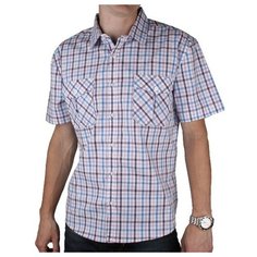 Рубашка Maestro, размер 42/XS/170-178, мультиколор