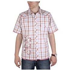 Рубашка Maestro, размер 50/L/178-186, мультиколор