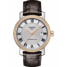 Наручные часы TISSOT T-Classic, коричневый, золотой